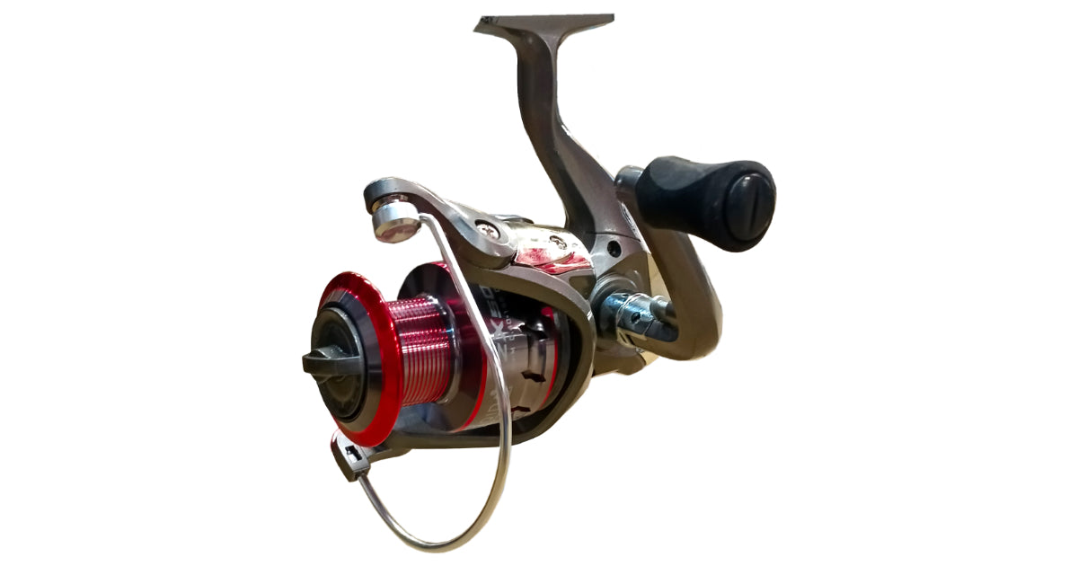 buy fishing reels south africa Fishing